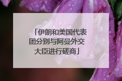伊朗和美国代表团分别与阿曼外交大臣进行磋商