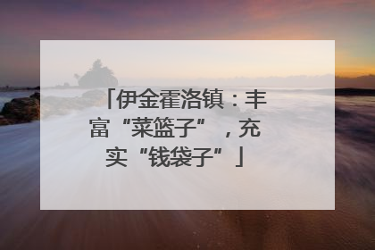 伊金霍洛镇：丰富“菜篮子”，充实“钱袋子”