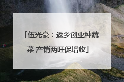 伍光豪：返乡创业种蔬菜 产销两旺促增收