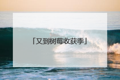 又到树莓收获季