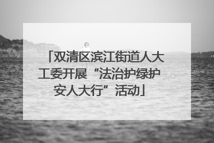 双清区滨江街道人大工委开展“法治护绿护安人大行”活动