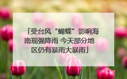 受台风“蝴蝶”影响海南现强降雨 今天部分地区仍有暴雨大暴雨