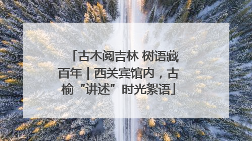 古木阅吉林 树语藏百年｜西关宾馆内，古榆“讲述”时光絮语