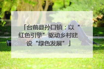 台前县孙口镇：以“红色引擎”驱动乡村建设“绿色发展”