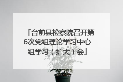 台前县检察院召开第6次党组理论学习中心组学习（扩大）会