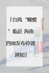 台风“蝴蝶”临近 海南四地发布停课通知