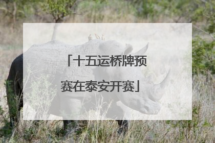 十五运桥牌预赛在泰安开赛
