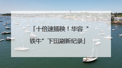 十倍速插秧！华容“铁牛”下田刷新纪录