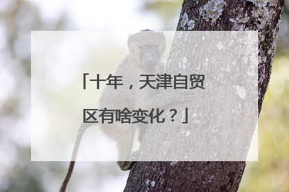 十年，天津自贸区有啥变化？