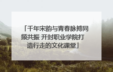 千年宋韵与青春脉搏同频共振 开封职业学院打造行走的文化课堂