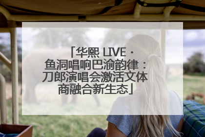 华熙 LIVE・鱼洞唱响巴渝韵律：刀郎演唱会激活文体商融合新生态