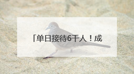 单日接待6千人！成都这家川剧院外国人太多，变身livehouse火上热搜