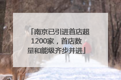 南京已引进首店超1200家，首店数量和能级齐步并进