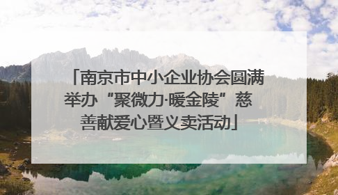 南京市中小企业协会圆满举办“聚微力·暖金陵”慈善献爱心暨义卖活动