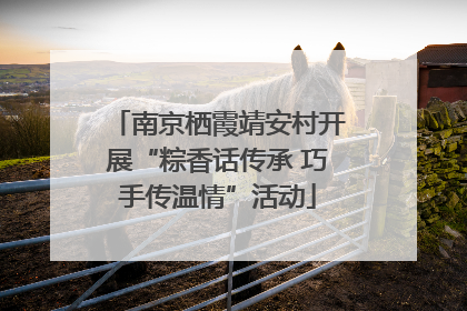 南京栖霞靖安村开展“粽香话传承 巧手传温情”活动