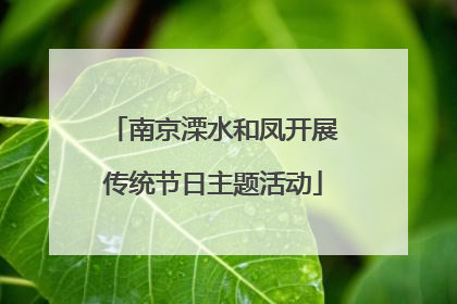 南京溧水和凤开展传统节日主题活动