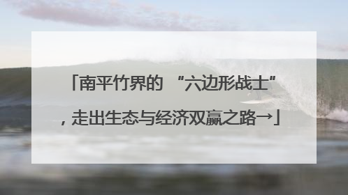 南平竹界的 “六边形战士”，走出生态与经济双赢之路→
