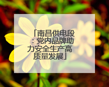 南昌供电段：党内品牌助力安全生产高质量发展