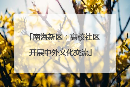 南海新区：高校社区开展中外文化交流