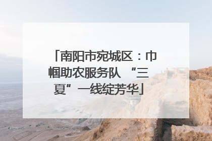 南阳市宛城区：巾帼助农服务队 “三夏”一线绽芳华
