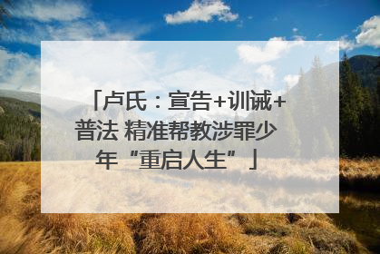 卢氏：宣告+训诫+普法 精准帮教涉罪少年“重启人生”