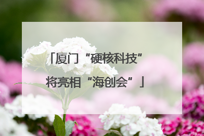厦门“硬核科技” 将亮相“海创会”