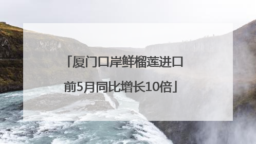 厦门口岸鲜榴莲进口 前5月同比增长10倍