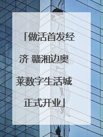 做活首发经济 赣湘边奥莱数字生活城正式开业