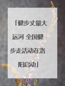 健步丈量大运河 全国健步走活动在洛阳启动