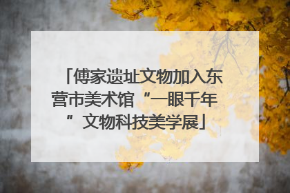 傅家遗址文物加入东营市美术馆“一眼千年”文物科技美学展