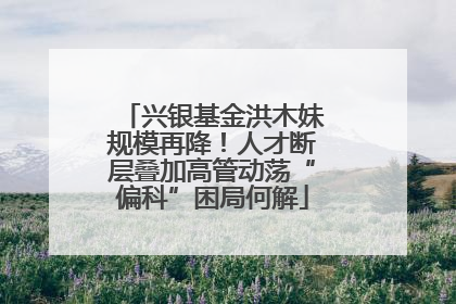 兴银基金洪木妹规模再降！人才断层叠加高管动荡“偏科”困局何解