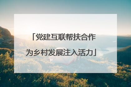 党建互联帮扶合作 为乡村发展注入活力