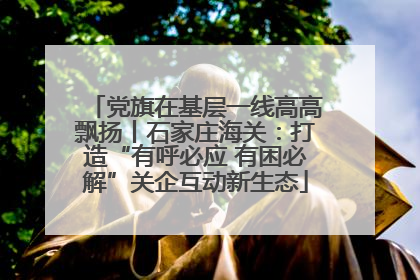 党旗在基层一线高高飘扬丨石家庄海关：打造“有呼必应 有困必解”关企互动新生态
