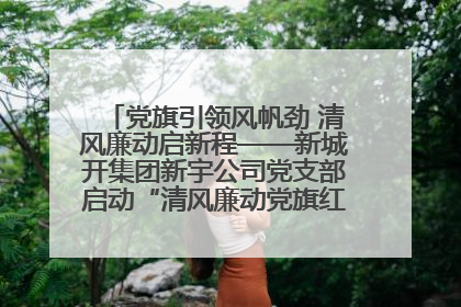 党旗引领风帆劲 清风廉动启新程——新城开集团新宇公司党支部启动“清风廉动党旗红”系列活动