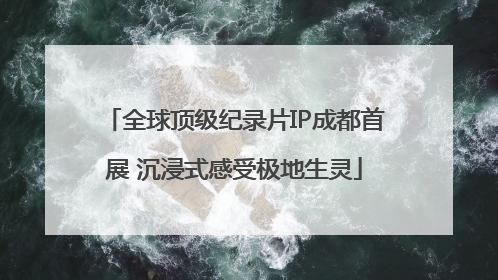 全球顶级纪录片IP成都首展 沉浸式感受极地生灵