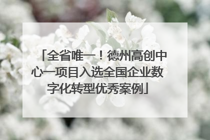 全省唯一！德州高创中心一项目入选全国企业数字化转型优秀案例
