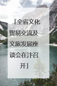 全省文化贸易交流及文旅发展座谈会在汴召开