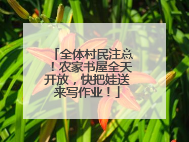 全体村民注意！农家书屋全天开放，快把娃送来写作业！