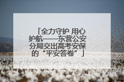 全力守护 用心护航——东营公安分局交出高考安保的“平安答卷”