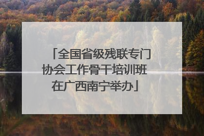 全国省级残联专门协会工作骨干培训班在广西南宁举办