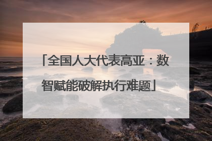 全国人大代表高亚：数智赋能破解执行难题