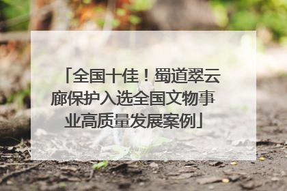 全国十佳！蜀道翠云廊保护入选全国文物事业高质量发展案例
