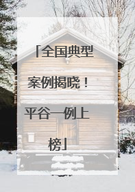 全国典型案例揭晓！平谷一例上榜