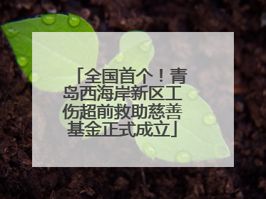 全国首个！青岛西海岸新区工伤超前救助慈善基金正式成立