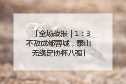 全场战报｜1：3不敌成都蓉城，泰山无缘足协杯八强