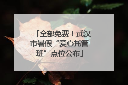 全部免费！武汉市暑假“爱心托管班”点位公布
