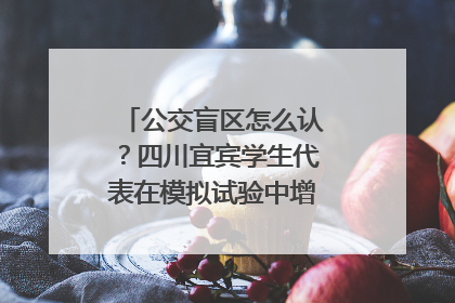 公交盲区怎么认？四川宜宾学生代表在模拟试验中增强乘车安全意识