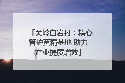关岭白岩村：精心管护黄精基地 助力产业提质增效