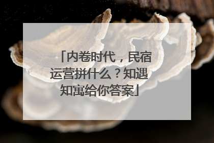 内卷时代，民宿运营拼什么？知遇知寓给你答案