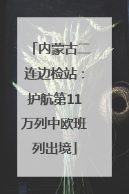 内蒙古二连边检站：护航第11万列中欧班列出境